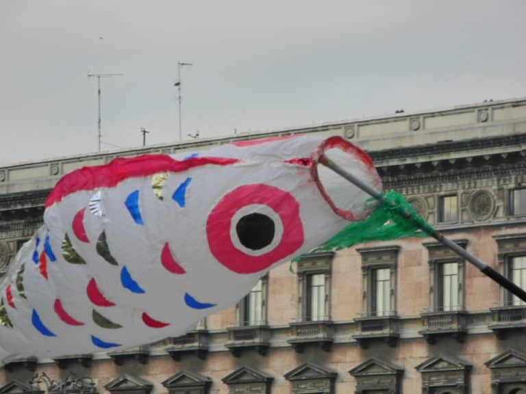 carnival – carp?, Feb.2016 (Milan)