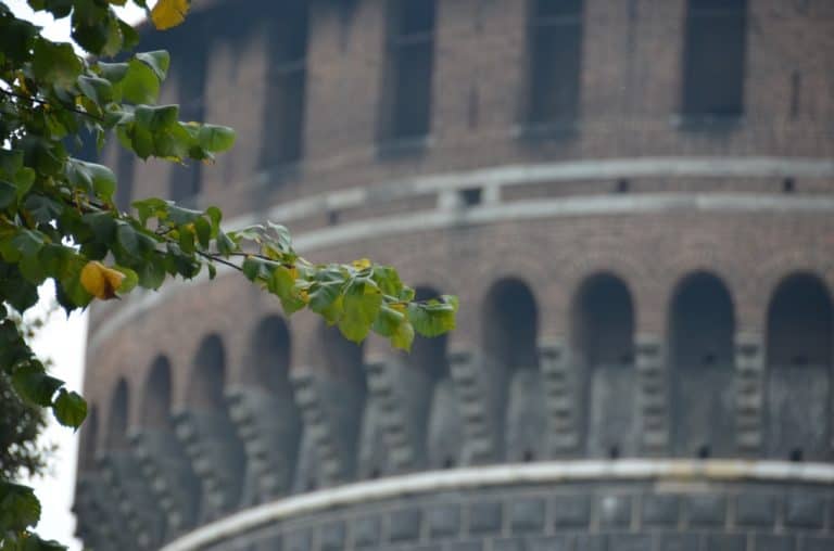 Sforza Castle – leaves, Oct.2015 (Milan)