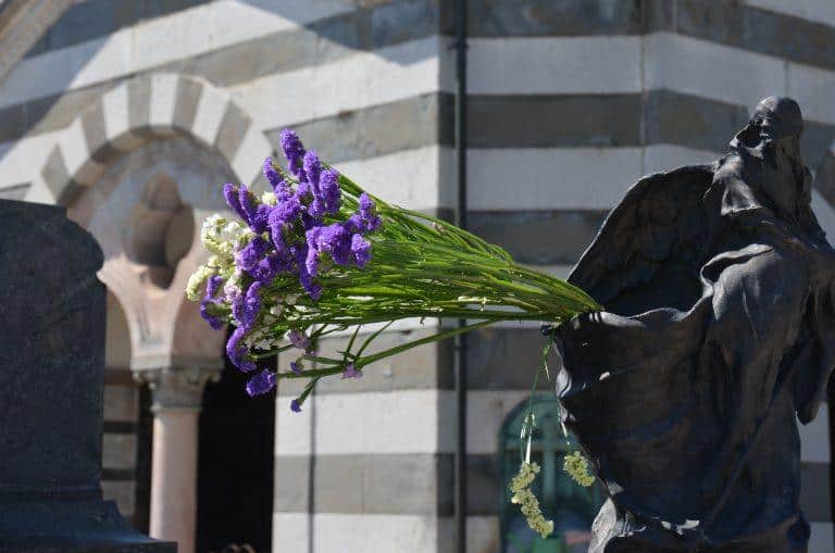 Milano – purple, June 2017 (Milan)