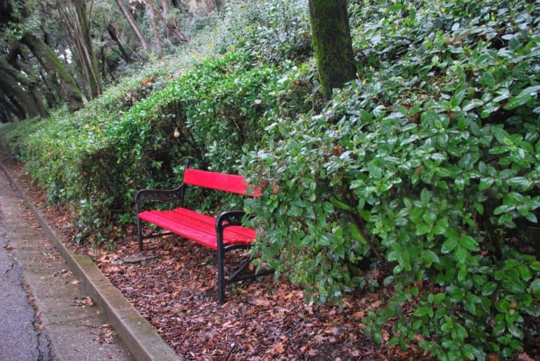 Italy, Miramare – bench, Feb. 2014 (Trieste)
