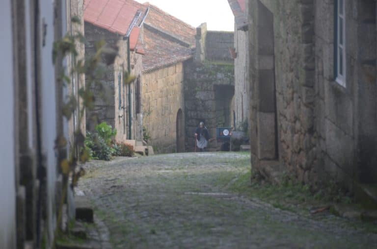 Portugal, Monsanto – slope, Nov.2014 (Monsanto)
