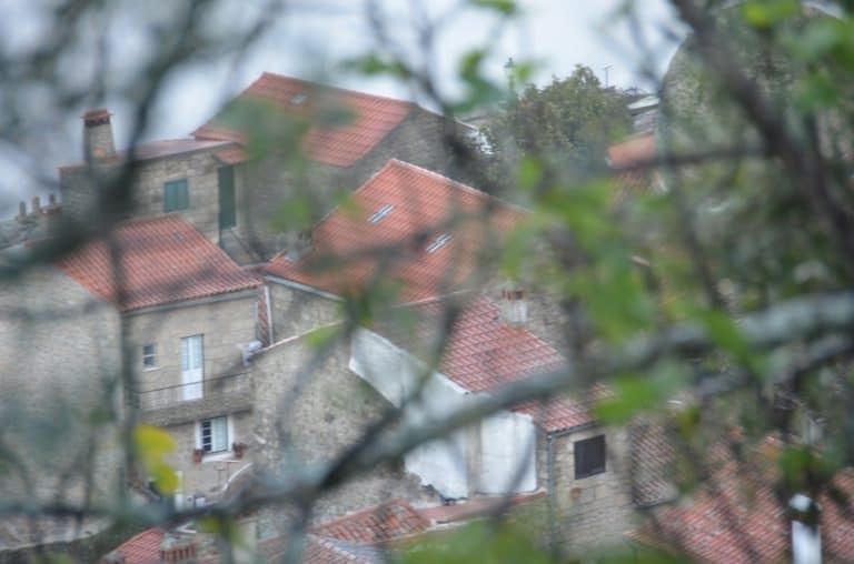 Portugal, Monsanto – houses behind branches, Nov.2014 (Monsanto)
