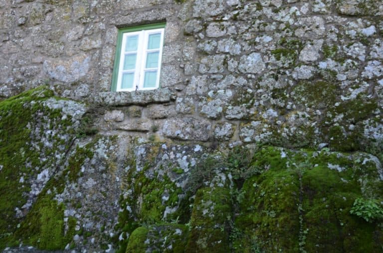 Portugal, Monsanto – blending in nature, Nov.2014 (Monsanto)