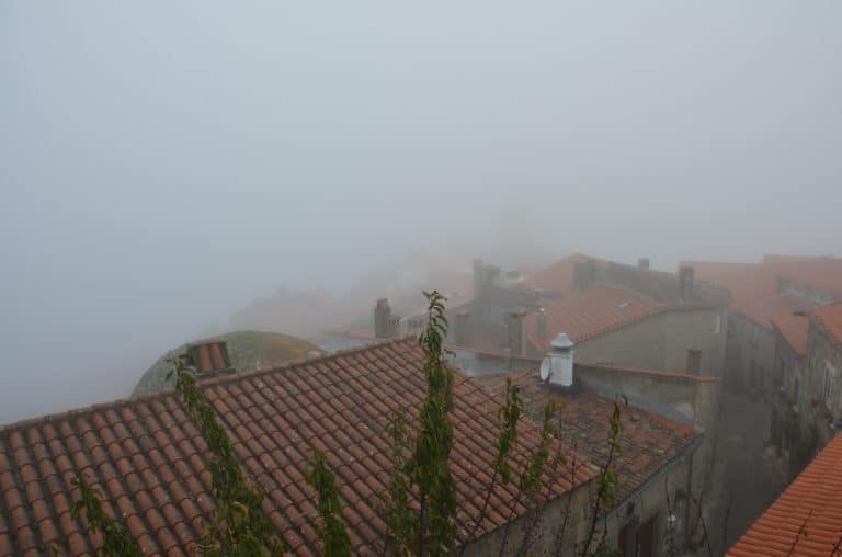 Mattina nella nebbia