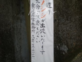 日本、金比羅山－並ぶ-2013年4月