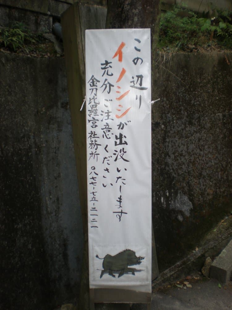 Japan, Mount Konpira – attention to the boar, Apr. 2013