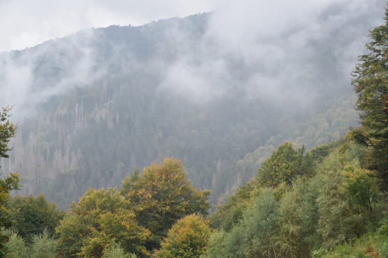 Monte San Primo 2021 (24) (Lombardia)