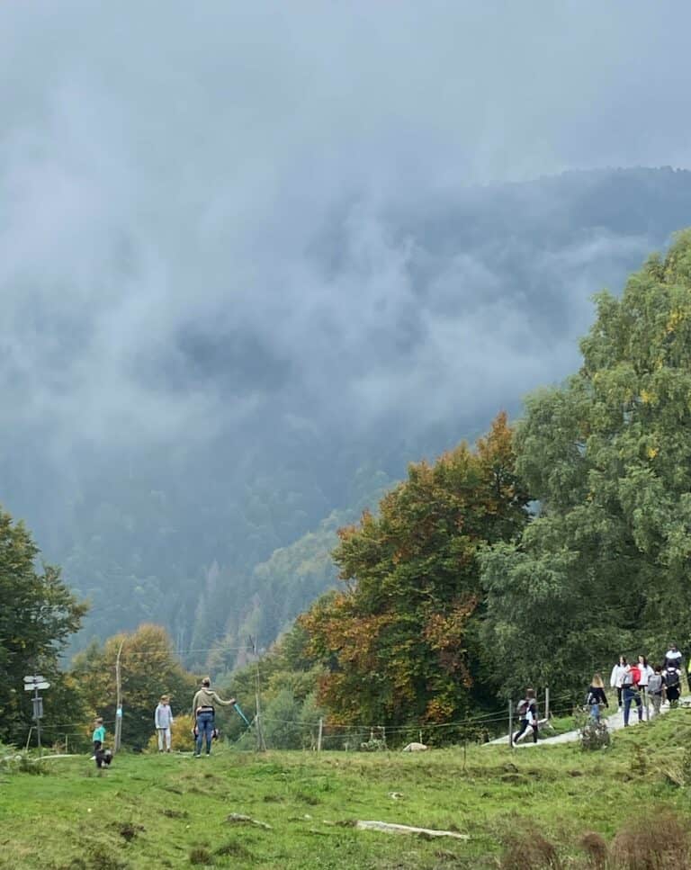 Monte San Primo 2021 (26) (Lombardia)