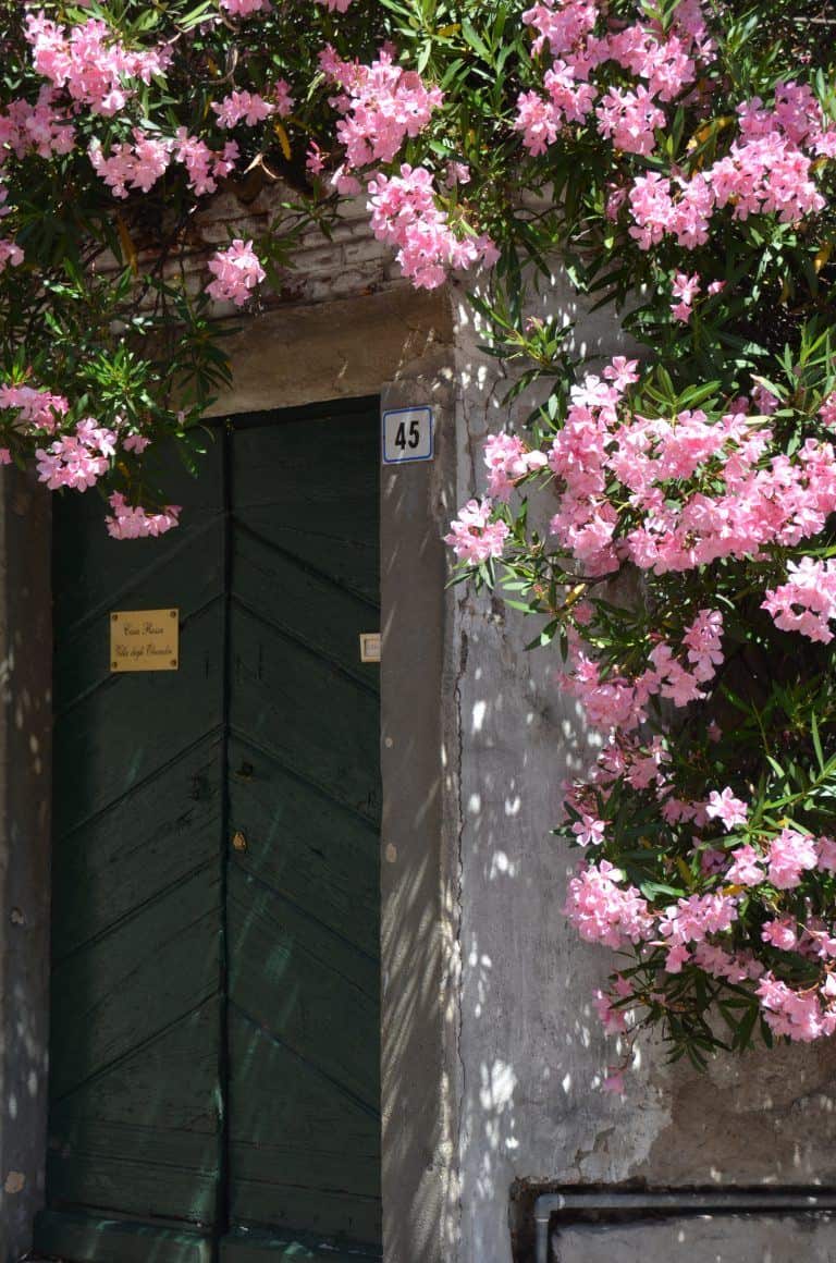 Montisola (16) (Lombardia)