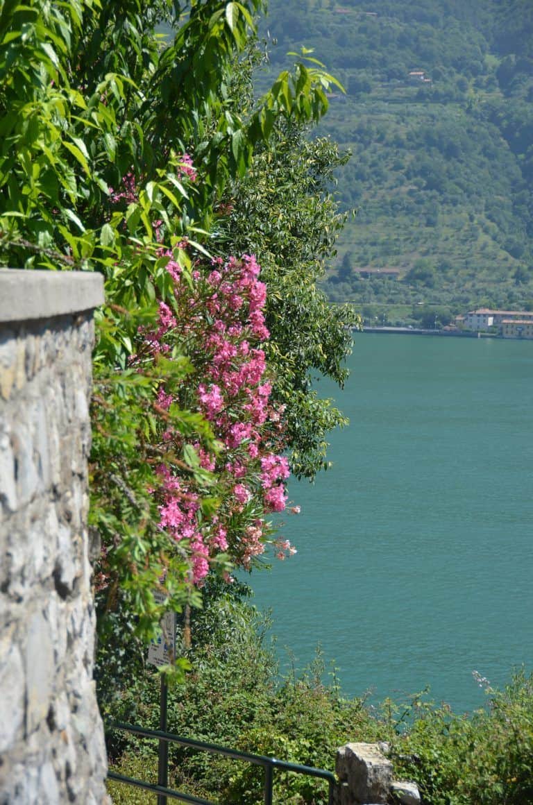 Montisola (21) (Lombardia)