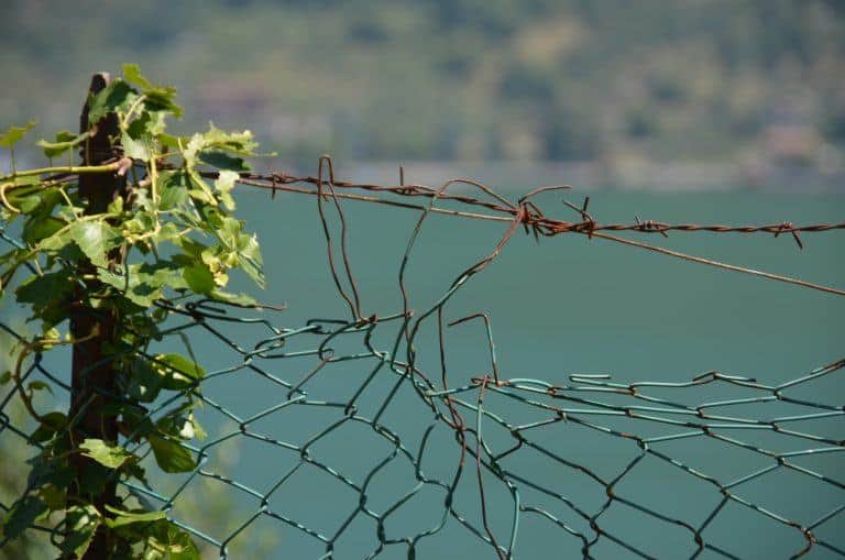 Montisola (22) (Lombardia)