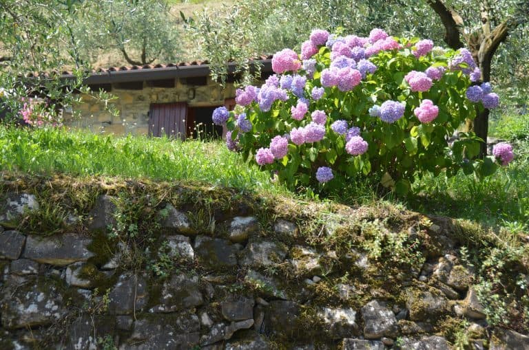 Montisola (28) (Lombardia)