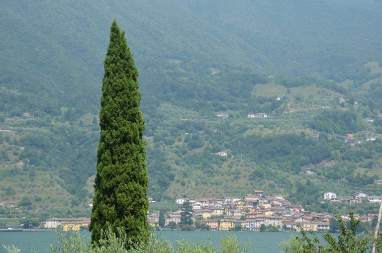 Montisola (46) (Lombardia)