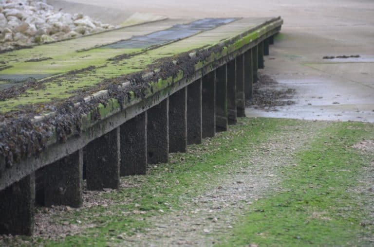 Inghilterra, Morecambe – verde, ottobre 2013