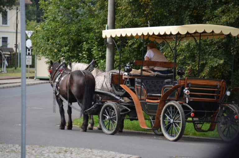 Moritzburg – carriage, Sept.2015