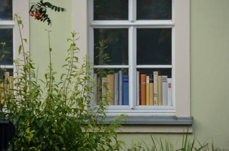 Moritzburg – window, Sept.2015