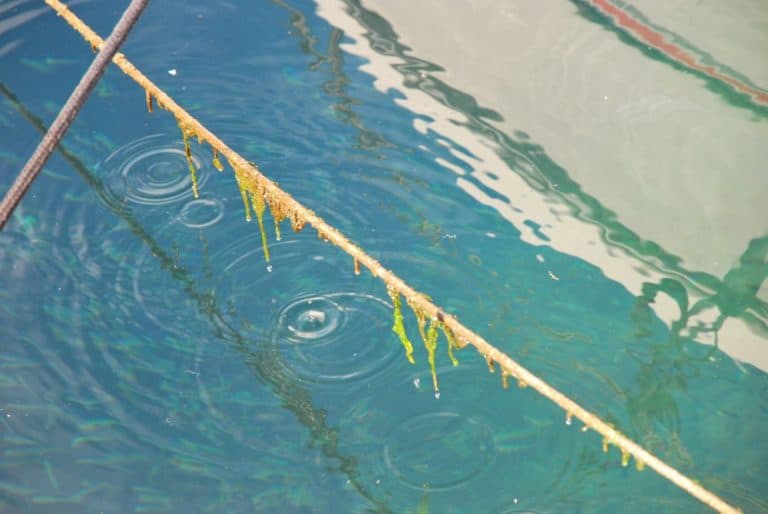 Italy, Muggia – ripples, Feb. 2014 (Trieste)