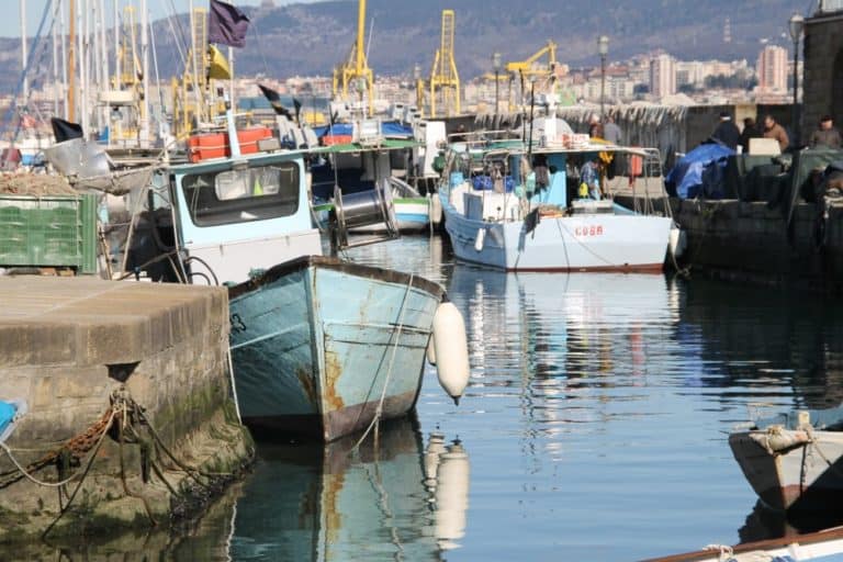 Italy, Muggia – port, Feb. 2014 (Trieste)