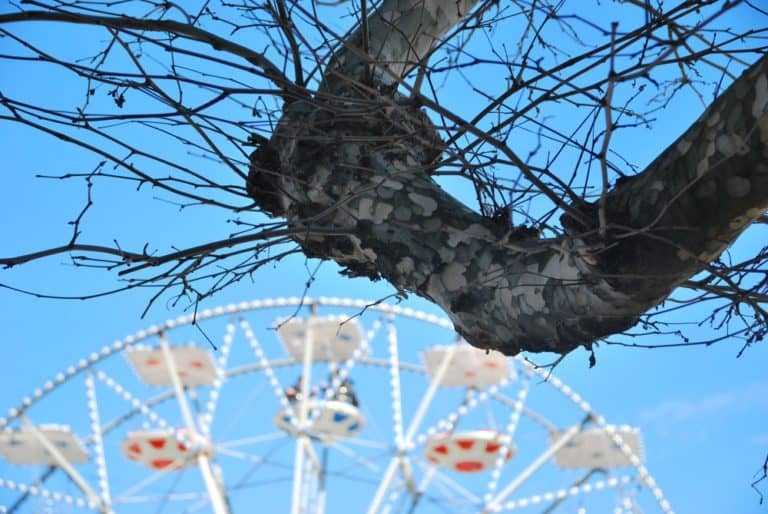 Italy, Muggia – branch, Feb. 2014 (Trieste)