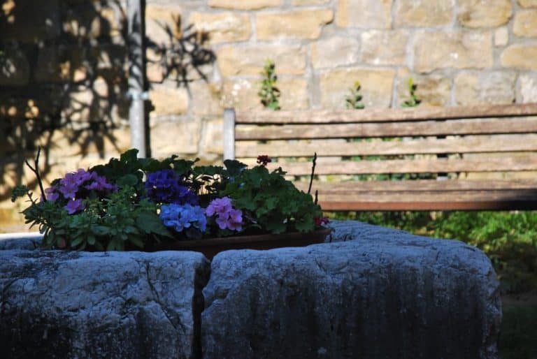 Italy, Muggia – flowers and bench, Feb. 2014 (Trieste)