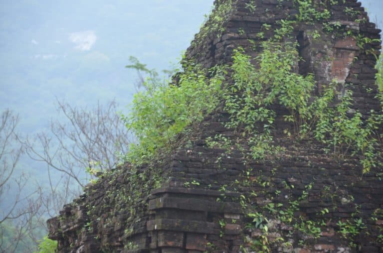 Vietnam, My Son – ruin with grass, Jan.2015 (My Son)