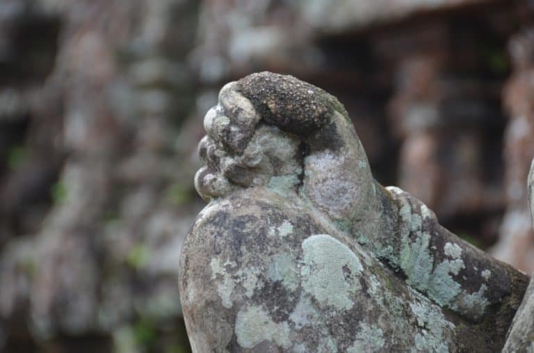 Vietnam, My Son – hand, Jan.2015 (My Son)