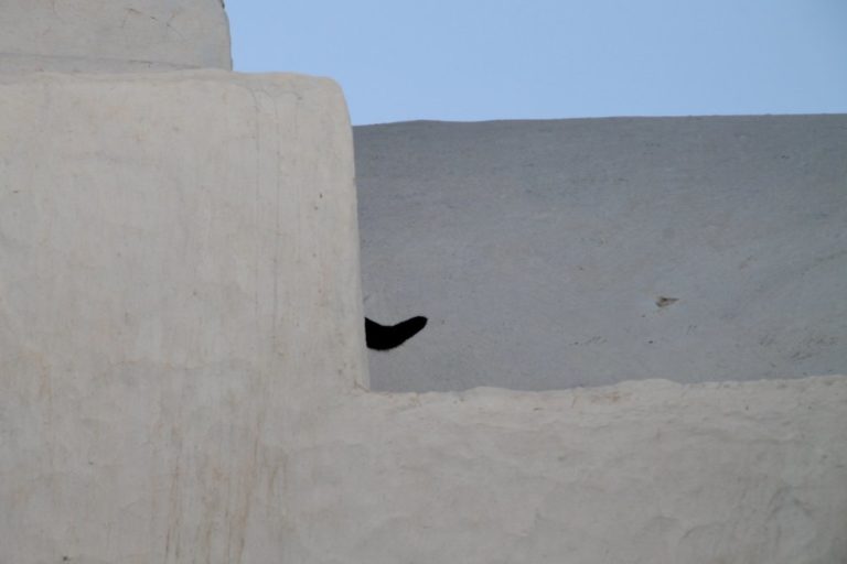 Grecia, Mykonos – coda, settembre 2013 (Mykonos)