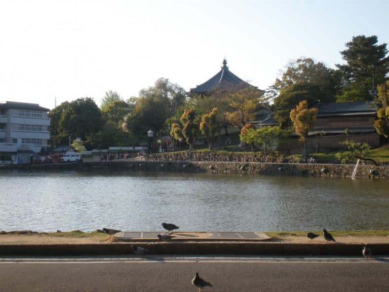日本、奈良－町の湖-2013年4月 (奈良)