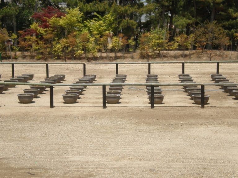 日本、奈良－対称-2013年4月 (奈良)