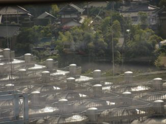 日本、川越－窓 2013年12月