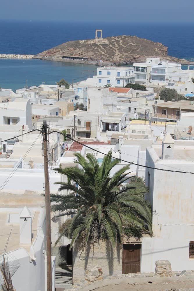 Grecia, Naxos – palma, agosto 2013 (Naxos)