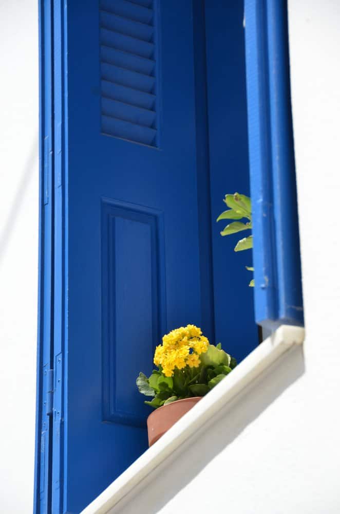 Grecia, Naxos – fiori gialli, agosto 2013 (Naxos)