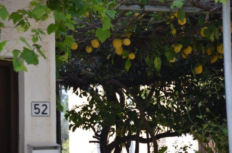 Neokhorio – house no.52, Apr.2015