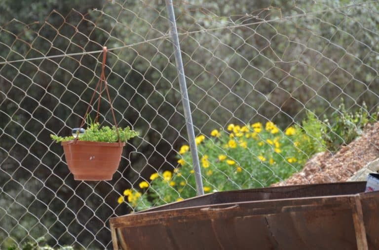 Neokhorio – flowerpot, Apr.2015