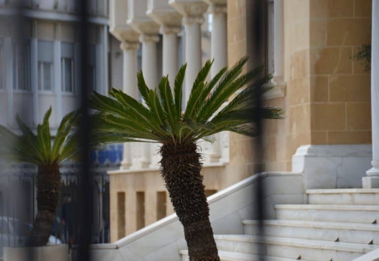 Archbishop’s Palace – trees, Mar.2015 (Nicosia)