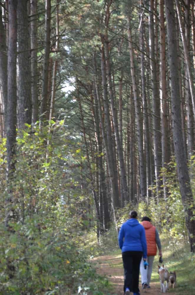 Lithuania, Nida – walk, Sept.2014 (Nida)