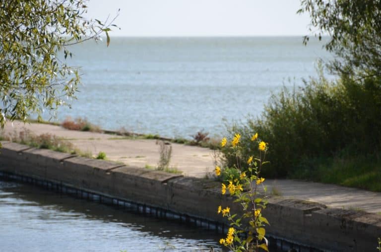 Lithuania, Nida – pier, Sept.2014 (Nida)