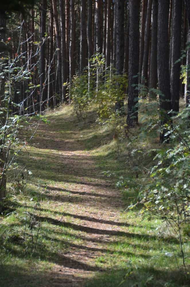 Lithuania, Nida – mountain path, Sept.2014 (Nida)