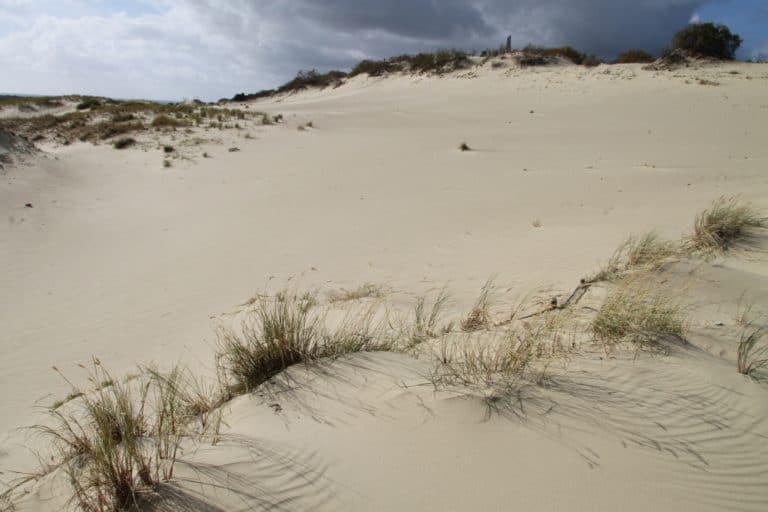 Lithuania, Nida – sand hill, Sept.2014 (Nida)