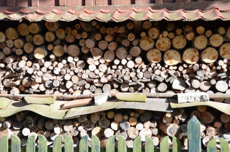 Lithuania, Nida – prepared for winter, Sept.2014 (Nida)
