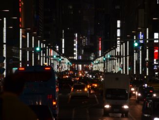 Tokyo – Ueno, sparrows, Aug.2016