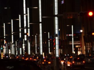 Tokyo – Ueno, sparrows, Aug.2016