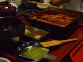 Tokyo – Ueno, sparrows, Aug.2016