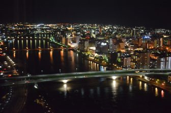 Niigata – seagull and pink sky, Aug.2016