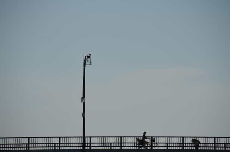 Niigata, Shinano River – people on the bridge, Sept.2016 (Niigata)
