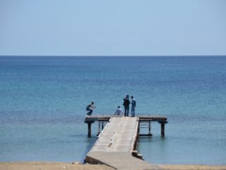 Salamina in Cipro – volto, Apr.2015
