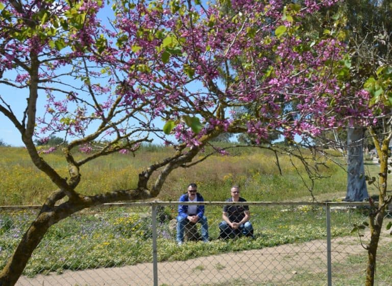 Salamis – resting, Apr.2015 (Famagusta)
