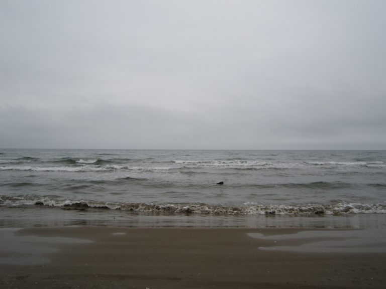 Chirihama – grey sea, Mar.2016 (Noto Peninsula)