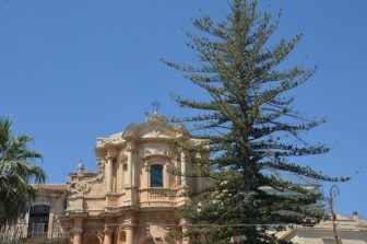 Noto (50)