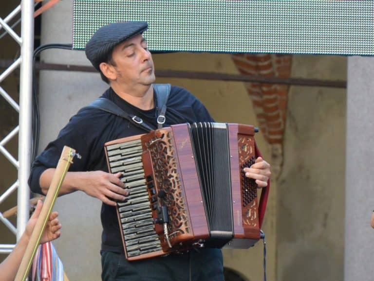 Novara – fisarmonica, Sett. 2015 (Piemonte)